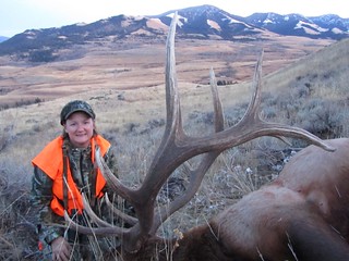Montana Elk Hunt - Bozeman 6