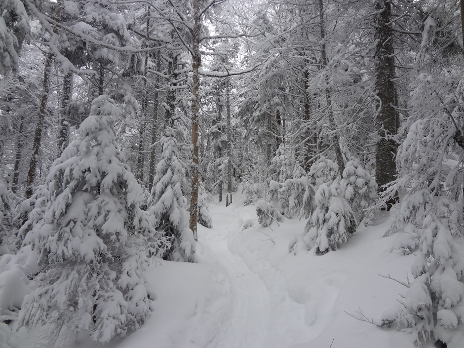 Snowy Crawford Path on Mt. Pierce