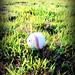 Baseball1 • <a style="font-size:0.8em;" href="http://www.flickr.com/photos/85836888@N05/8106531029/" target="_blank">View on Flickr</a>
