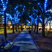 Tampa Christmas Lights by Photomatt28, on Flickr