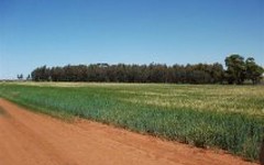 Farm 581 Desailly Road, Coleambally NSW
