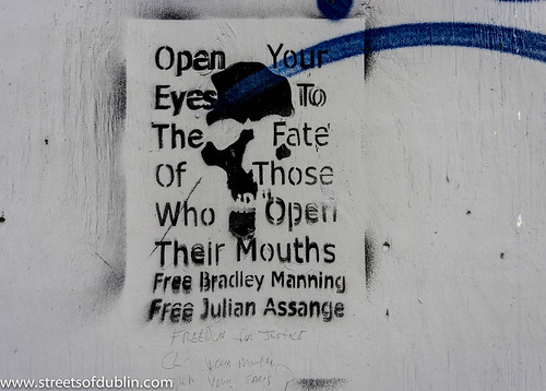 Free Julian Assange, Free Bradley Manning