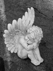 Anglų lietuvių žodynas. Žodis engels reiškia angelai lietuviškai.
