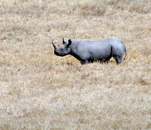 Tanzania, September 2012