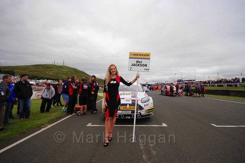 Mat Jackson on the grid during the BTCC Knockhill Weekend 2016