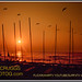 Sail Sunrise Spacecats Fleet45<br /><span style="font-size:0.8em;">Hobie Sunrise Cape Canaveral 20 envc265</span>
