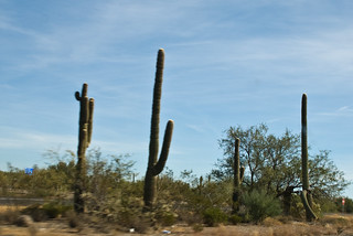 near Phoenix, AZ