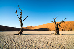 Deadvlei Sossusvlei Namibia • <a style="font-size:0.8em;" href="https://www.flickr.com/photos/21540187@N07/8292736670/" target="_blank">View on Flickr</a>
