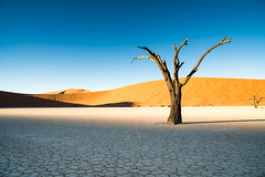 Deadvlei Sossusvlei Namibia • <a style="font-size:0.8em;" href="https://www.flickr.com/photos/21540187@N07/8291684967/" target="_blank">View on Flickr</a>