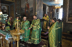 DSC_0038_новый размер