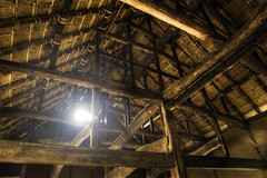 Rafters • <a style="font-size:0.8em;" href="http://www.flickr.com/photos/76512404@N00/8332583899/" target="_blank">View on Flickr</a>