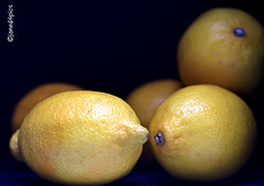 ... when life gives you lemons (photograph them!) ...