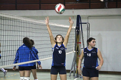 Torneo Volare Volley Under 13 • <a style="font-size:0.8em;" href="http://www.flickr.com/photos/69060814@N02/8261459793/" target="_blank">View on Flickr</a>