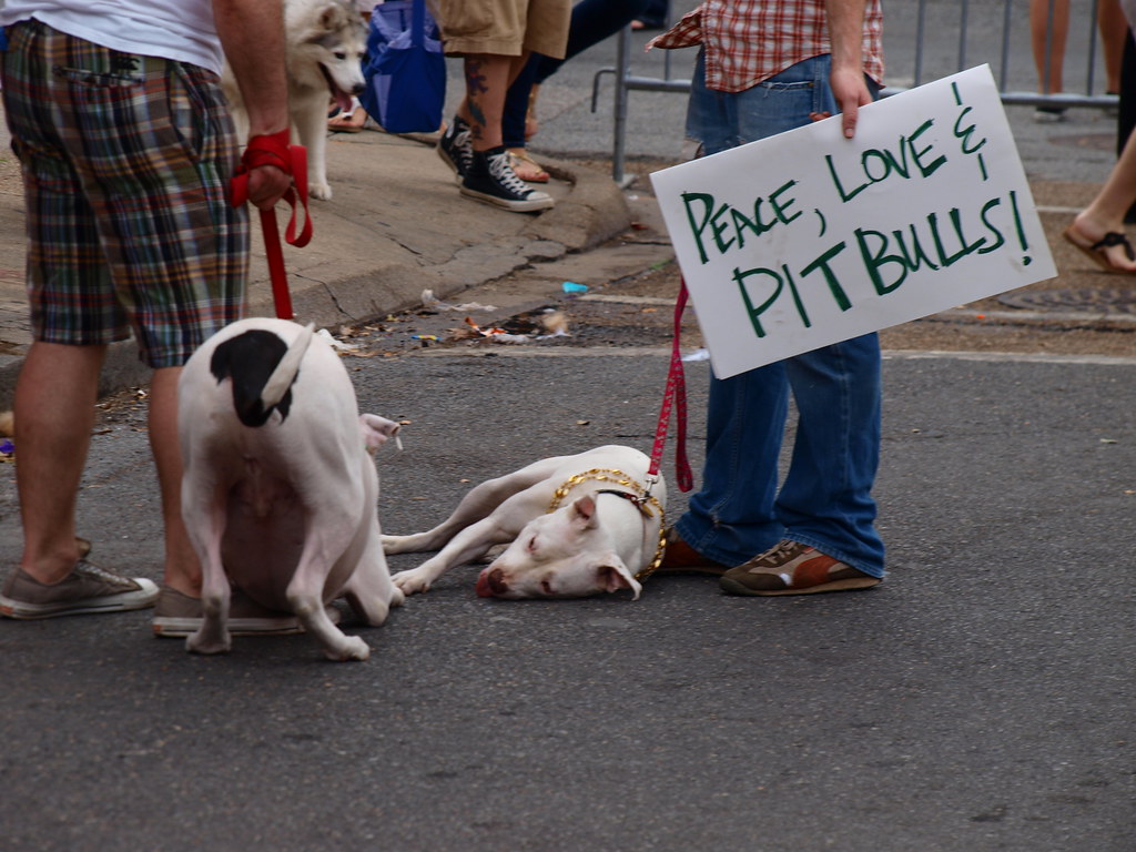 Peace Love Pitbulls images
