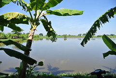 Pantanaw, Burma
