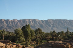 Oasis - south Maroc