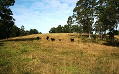 Lot 7 Tanna Road, Clarence Town NSW