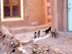 Ait Benadu, Marruecos • <a style="font-size:0.8em;" href="http://www.flickr.com/photos/92957341@N07/8458811650/" target="_blank">View on Flickr</a>