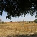 Faye's fields during dry season in Doke
