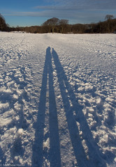 Snow Stilts • <a style="font-size:0.8em;" href="http://www.flickr.com/photos/92226407@N08/8513654039/" target="_blank">View on Flickr</a>