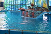 San Antonio Water World -Two Dolphins out of water • <a style="font-size:0.8em;" href="http://www.flickr.com/photos/7877146@N06/8581403638/" target="_blank">View on Flickr</a>