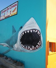 Anglų lietuvių žodynas. Žodis great white shark reiškia didysis baltasis ryklys lietuviškai.