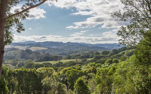315 Coorabell, Coorabell NSW