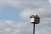 Bird House And Blue Sky Near Dallas • <a style="font-size:0.8em;" href="http://www.flickr.com/photos/7877146@N06/8580314157/" target="_blank">View on Flickr</a>