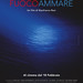 Fuoco-Ammare-cartel • <a style="font-size:0.8em;" href="http://www.flickr.com/photos/9512739@N04/28990058513/" target="_blank">View on Flickr</a>
