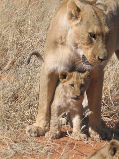 Namibia Photo Safari 16