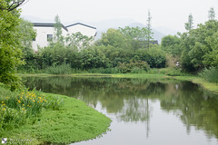 Xixi Wetland Park