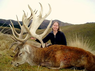 New Zealand Red Stag Hunting - Christchurch 50