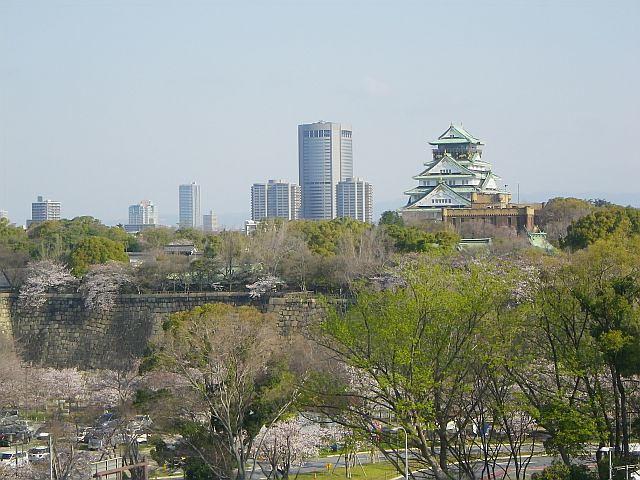 　先週末から今週にかけて、大阪城公園の桜...