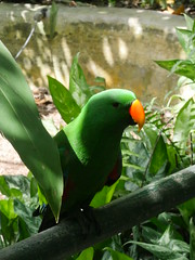 Port Moresby Nature Park