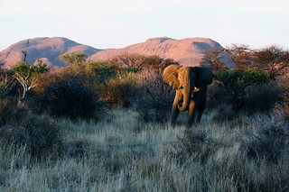 Namibia Photo Safari 27