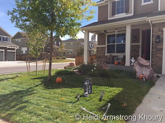 October 9, 2016 - A Thornton yard gets ready for Halloween. (Heidi Armstrong Khoury)
