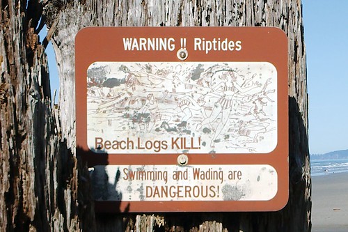Beach Logs KILL!