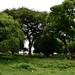 Amora Gedel Park in Hawassa (3)