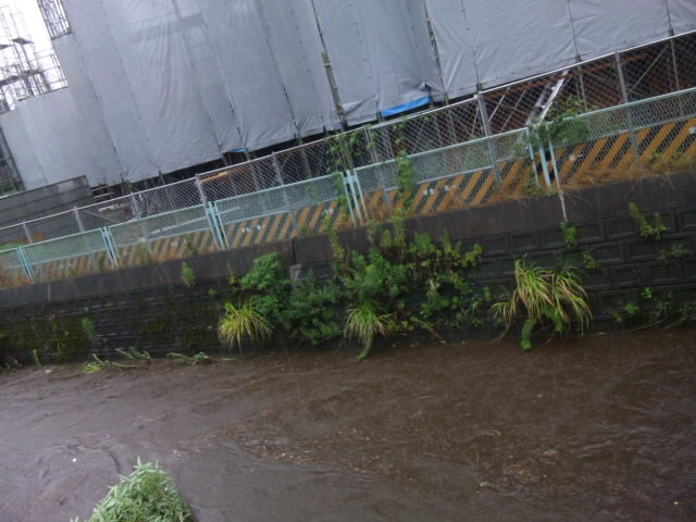 今日のAMゲリラ豪雨でした１時間最大雨量...