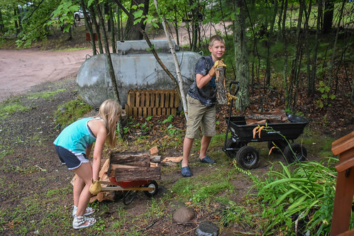 Kai and Nora hauling wood from the driveway to the firepit. • <a style="font-size:0.8em;" href="http://www.flickr.com/photos/96277117@N00/28293613851/" target="_blank">View on Flickr</a>