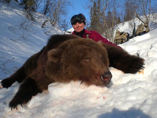 Alaska Bear Hunt and Moose Hunt - Dillingham 7