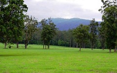 Lot 1, 1041 Bucca Road, Central Bucca NSW