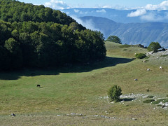 Escursionismo Velino - Monte Morrone da Corvaro