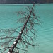 Day 10: Lake Louise & Moraine Lake