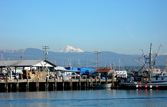 Mount Baker from harbour • <a style="font-size:0.8em;" href="http://www.flickr.com/photos/59137086@N08/7887874294/" target="_blank">View on Flickr</a>