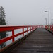 Day 20: Fog in Ucluelet