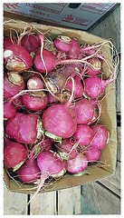 W36 Organic Purple Turnip