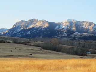 Montana Elk Hunt - Bozeman 8