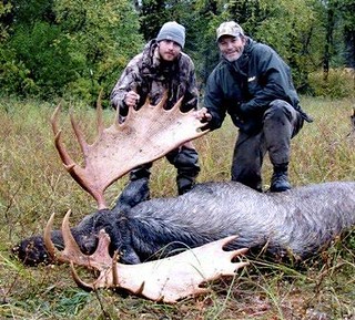 Alaska Moose and Bear Hunt - Dillingham 13