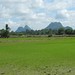 Les paysages du Perlis (Nord Malaisie): rizieres et pains de sucre
